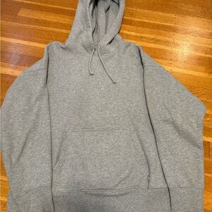 Gray Aritzia Hoodie